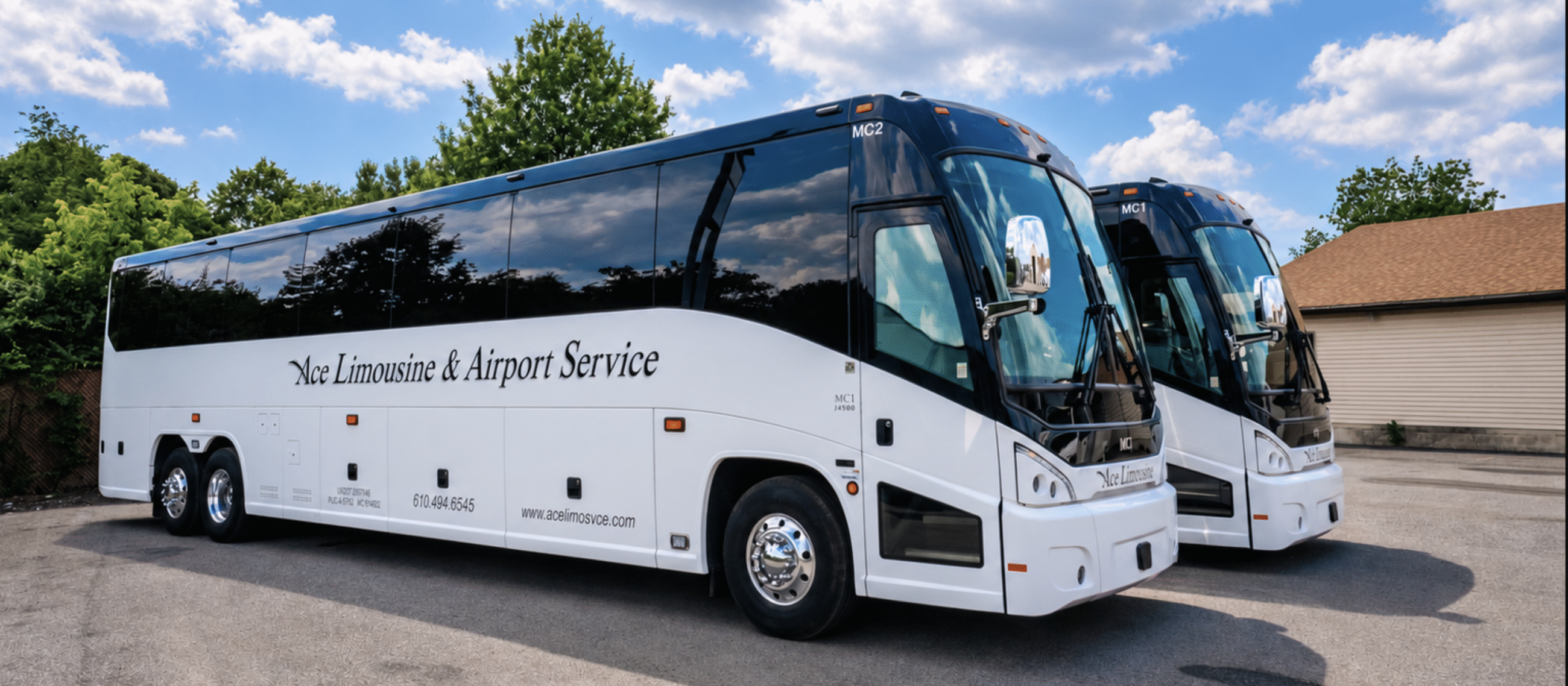 Ace Limousine coach buses