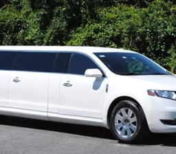 9-Passenger-MKT-Stretch-white